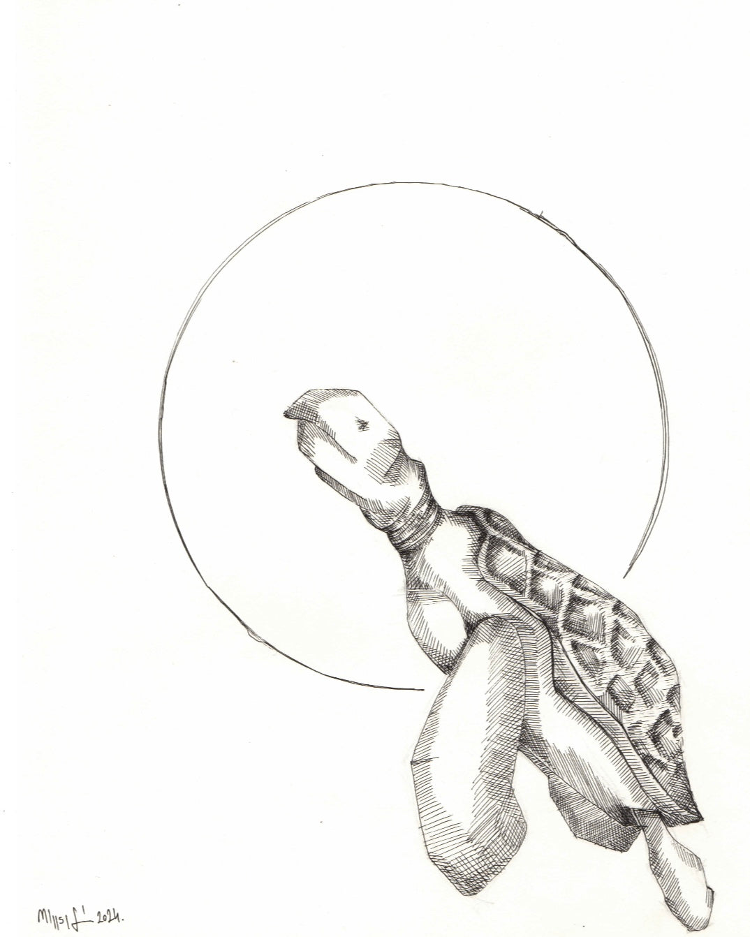 Teknős grafika – minimalista fekete-fehér vonalrajz körkompozícióval