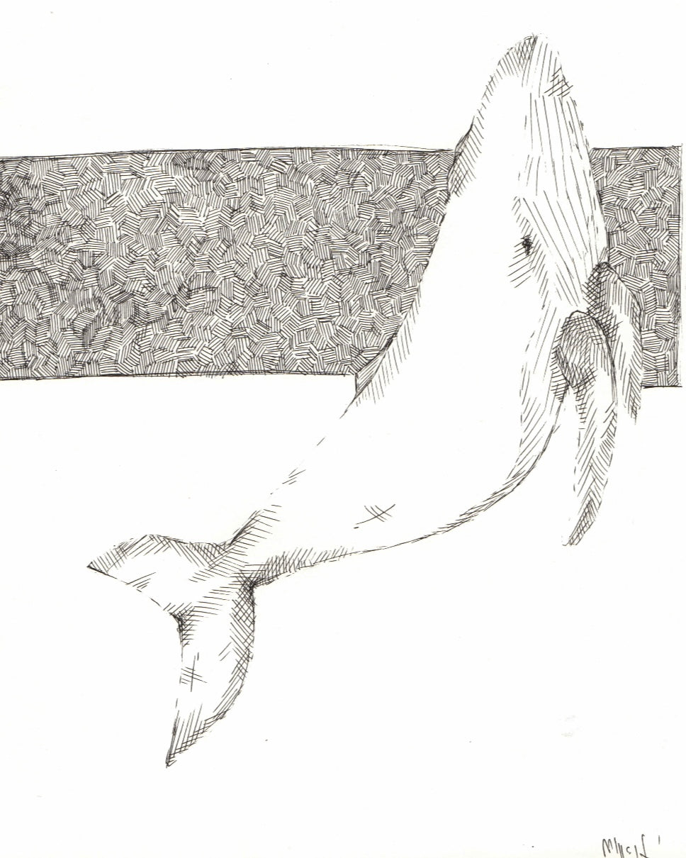 Bálna grafika – minimalista fekete-fehér vonalrajz geometrikus háttérrel