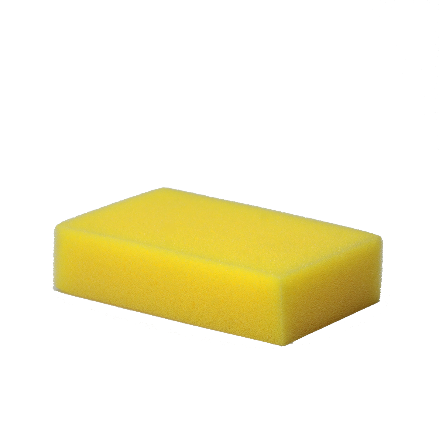 Sponge