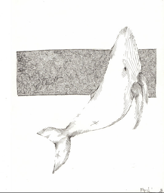 Bálna grafika – minimalista fekete-fehér vonalrajz geometrikus háttérrel