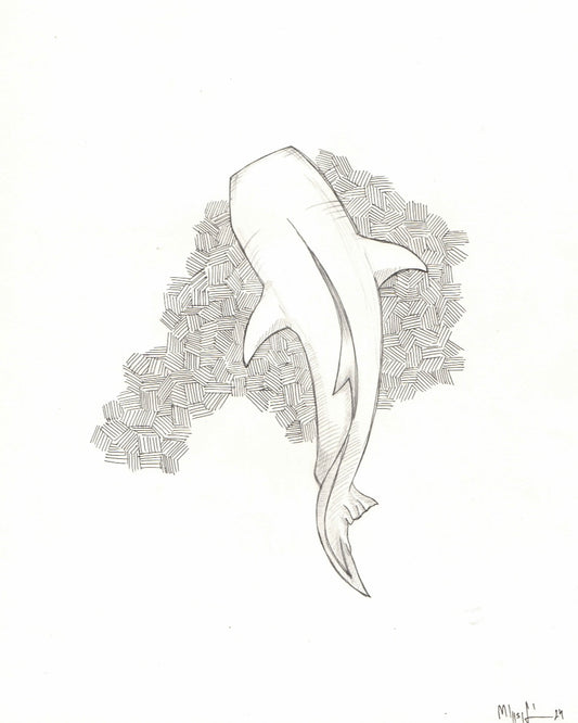 Cápa grafika – minimalista fekete-fehér vonalrajz strukturált háttérrel