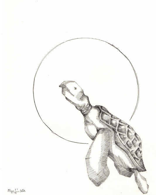 Teknős grafika – minimalista fekete-fehér vonalrajz körkompozícióval